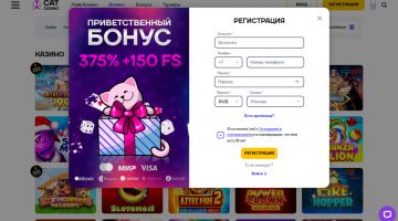 Регистрация в казино Cat Casino